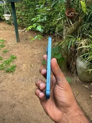 Apple iPhone 13 (Used)