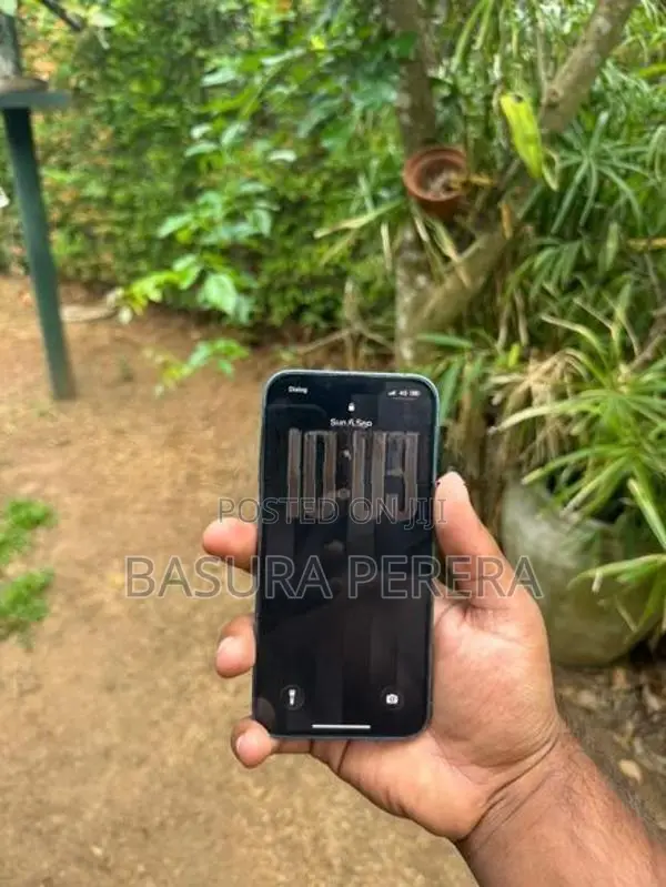 Apple iPhone 13 (Used)