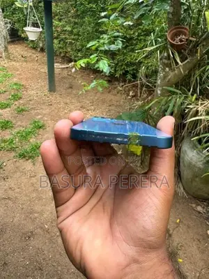 Apple iPhone 13 (Used)