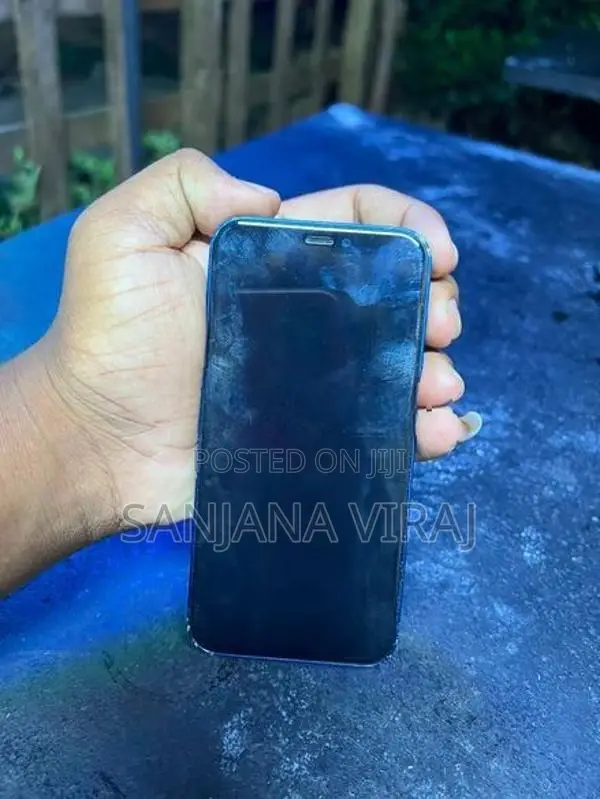 Apple iPhone 12 mini (Used)