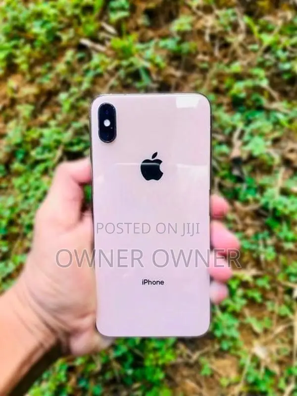 Apple iPhone XS Max 256GB (Used)