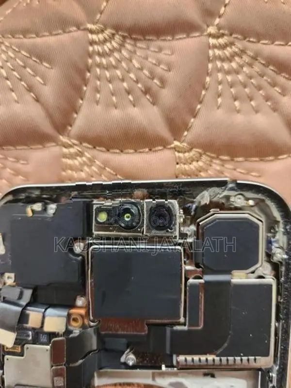 Apple iPhone 15 Pro Max Front With Rear Camera