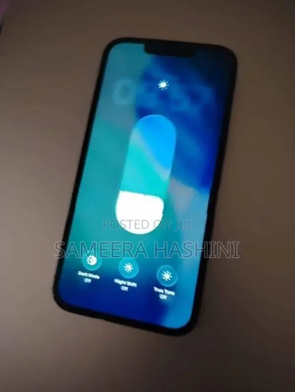 Apple iPhone 13 Pro (Used)