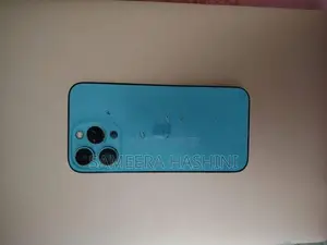 Apple iPhone 13 Pro (Used)