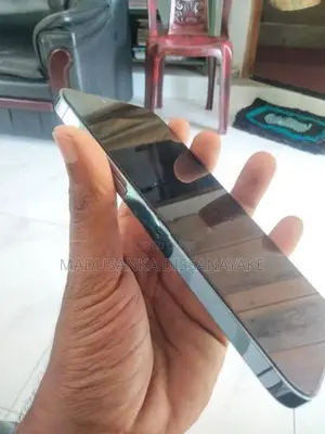 Apple iPhone 13 Pro Max (Used)