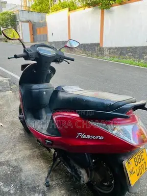Hero Pleasure 2014