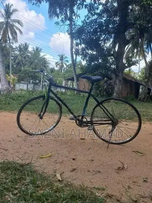 Ten Speed Racing Bicycle