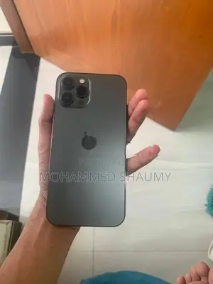 Apple iPhone 12 Pro Max (Used)