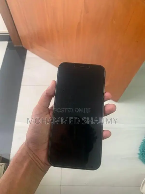 Apple iPhone 12 Pro Max (Used)