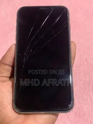 Apple iPhone 11 LLA (Used)