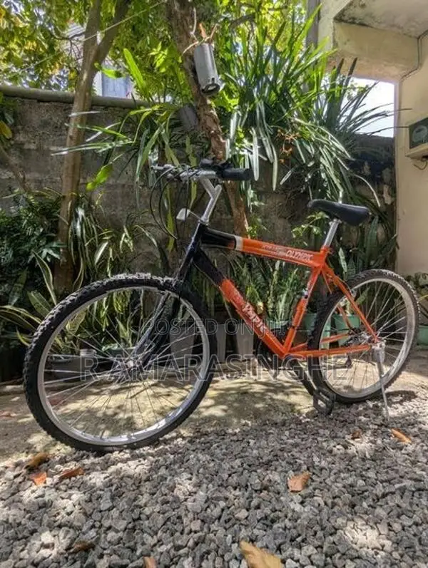 Used Olympic Bicycle (26" Inch)