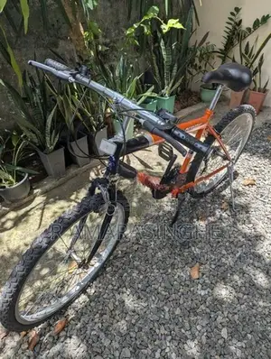 Used Olympic Bicycle (26" Inch)