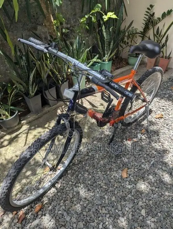 Used Olympic Bicycle (26" Inch)
