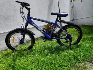 Lumstar 20" Mountain Bicycle