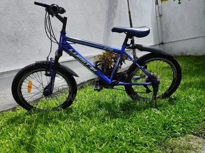 Lumstar 20" Mountain Bicycle