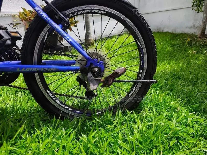 Lumstar 20" Mountain Bicycle