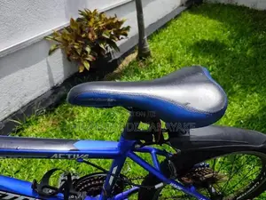 Lumstar 20" Mountain Bicycle