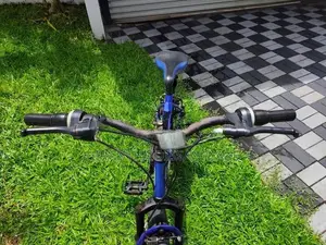 Lumstar 20" Mountain Bicycle