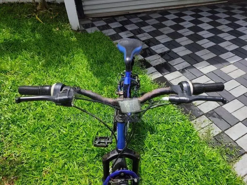 Lumstar 20" Mountain Bicycle