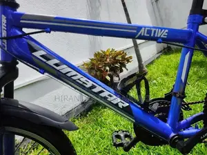 Lumstar 20" Mountain Bicycle