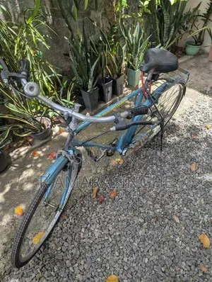 Reconditioned BSA Standard Bicycle