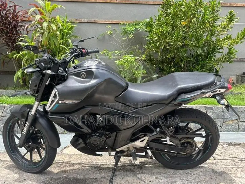 Yamaha FZS V3 2019