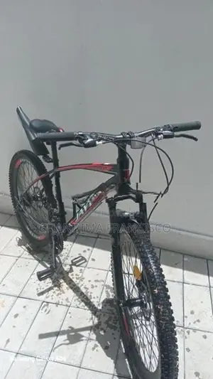 Mountain Bicycle
