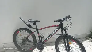 Mountain Bicycle