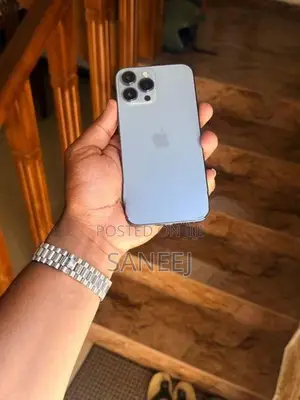 Apple iPhone 13 Pro Max (Used)