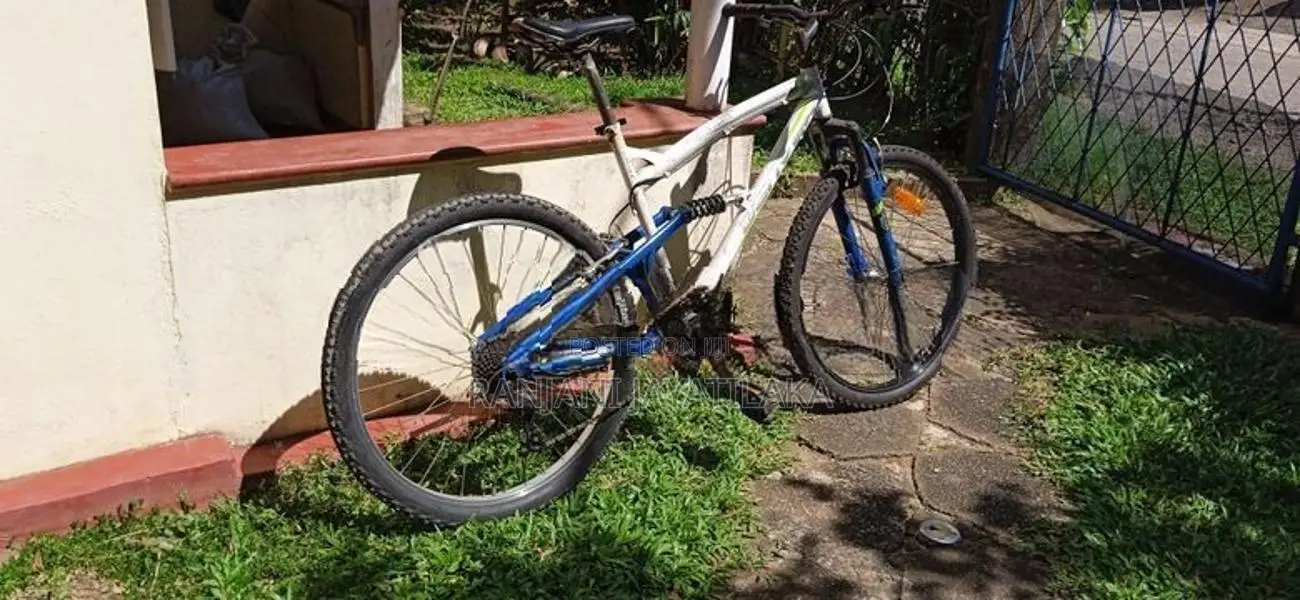 Mountain Bike