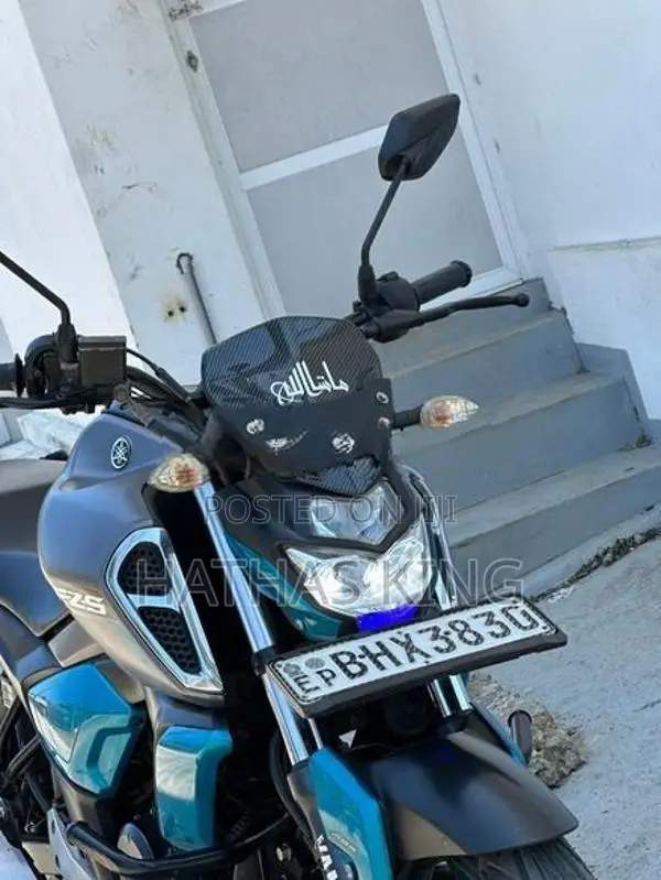 Yamaha FZS V3 2019