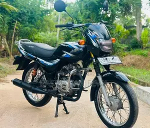 Bajaj CT100 2018