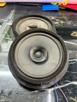 Japan Vehicle Door Speaker
