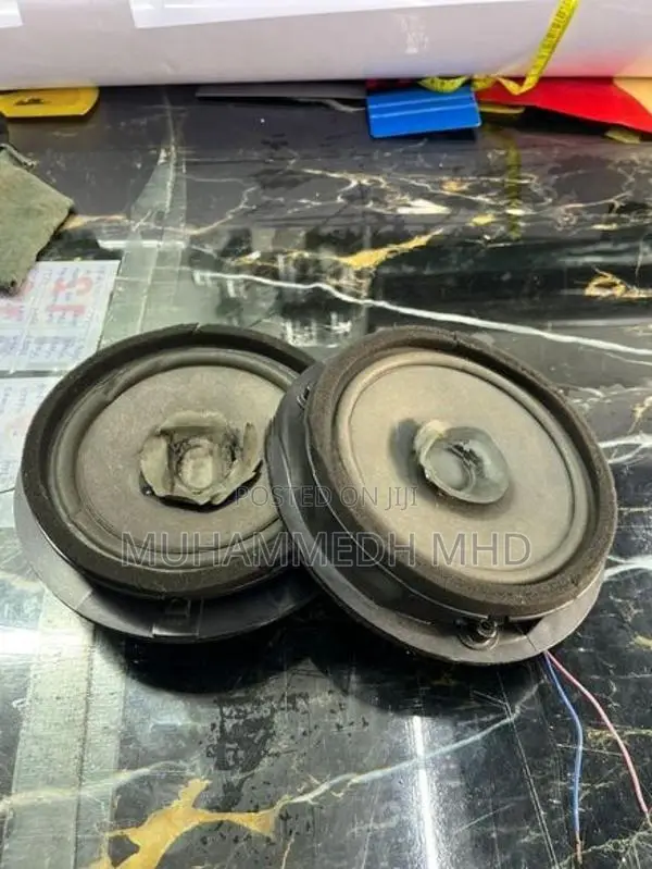 Japan Vehicle Door Speaker