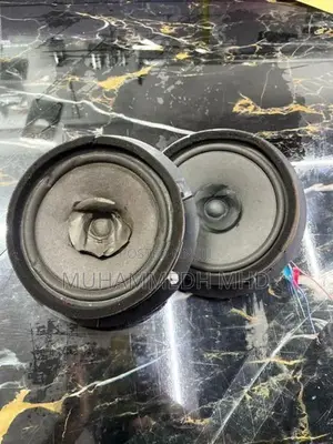 Japan Vehicle Door Speaker