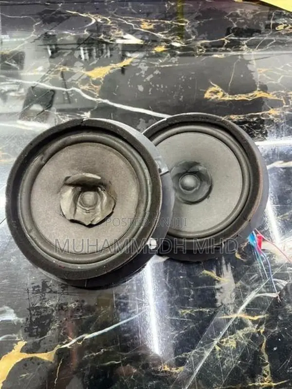 Japan Vehicle Door Speaker