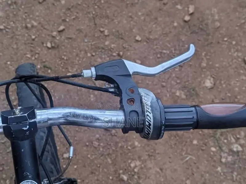 Lumala Active Bicycle