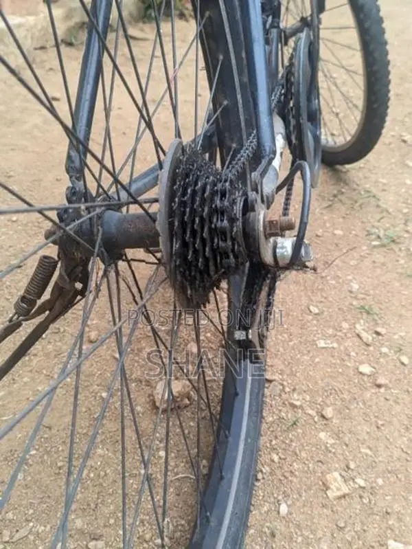 Lumala Active Bicycle