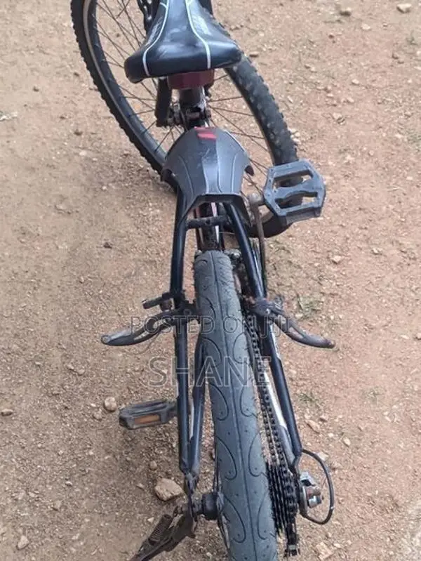 Lumala Active Bicycle