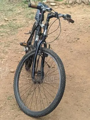 Lumala Active Bicycle