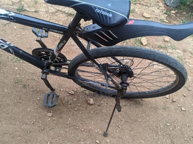 Lumala Active Bicycle