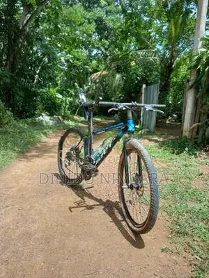 පාපැදිය විකිනිමට අැත