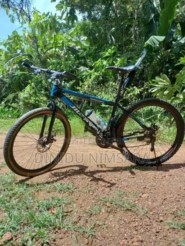 පාපැදිය විකිනිමට අැත