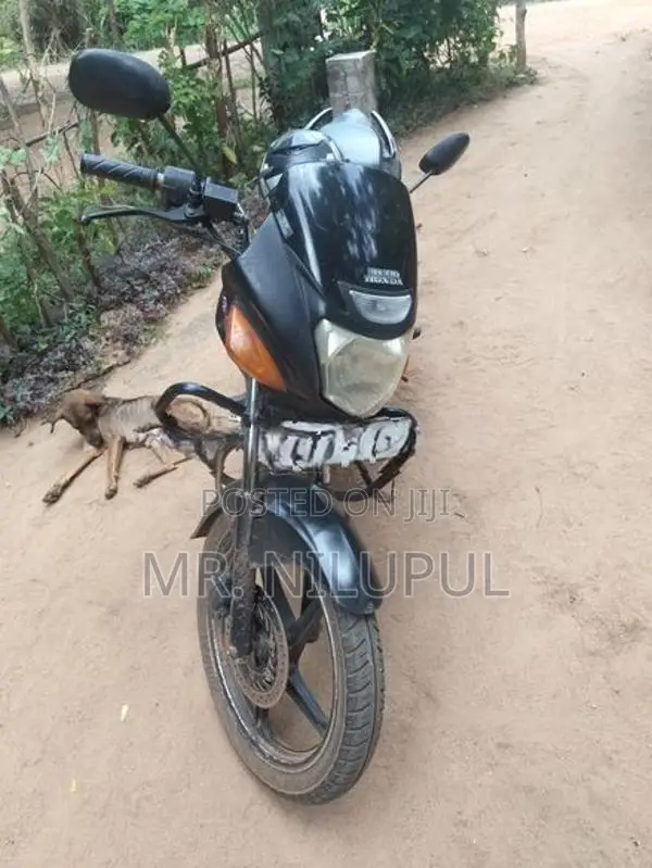 Hero CBZ 2007