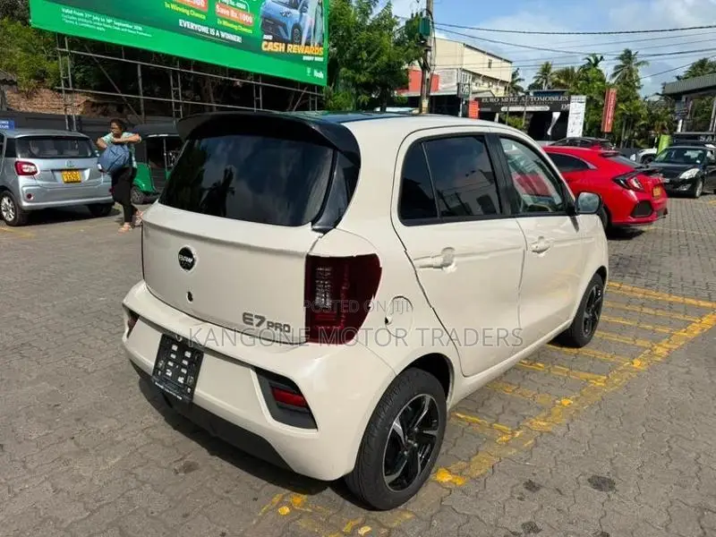 BAW E7 PRO 2021