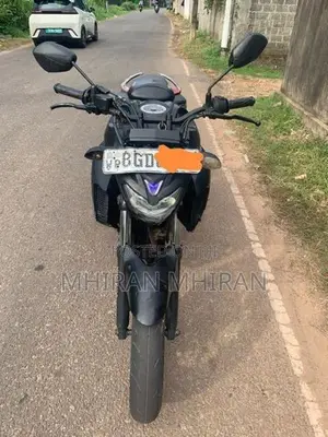 Yamaha FZ 25 2018