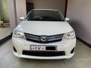 Toyota Axio 2013
