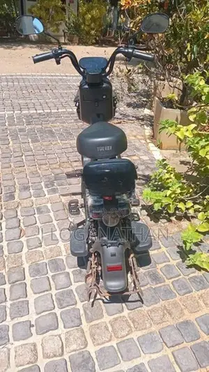HUAIHAI Electric Bike 2023
