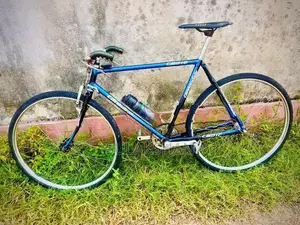 Raleigh Bicycle