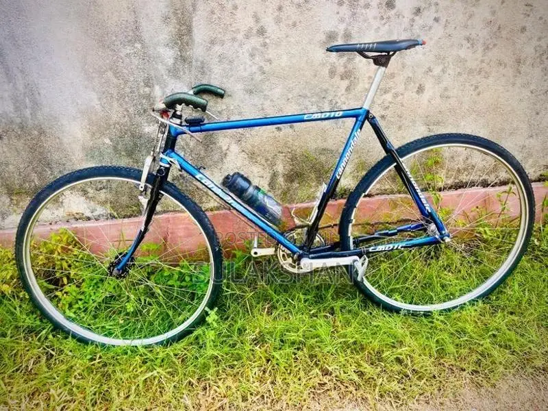 Raleigh Bicycle